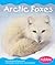 Arctic Foxes by Emily Rose Townsend