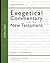 Matthew (Zondervan Exegetical Commentary on the New Testament)