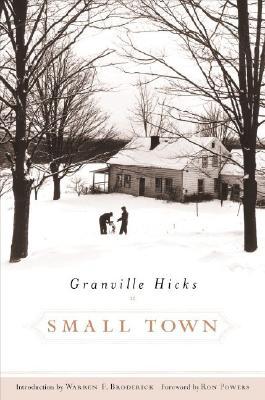 Small Town (Hardcover)