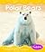 Polar Bears (Pebble Books)