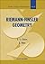 RIEMANN-FINSLER GEOMETRY