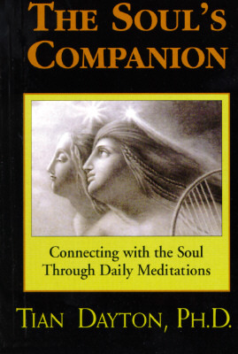 The Soul's Companion (Paperback)