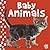 Touch and Feel - Baby Animals (Busy Baby)