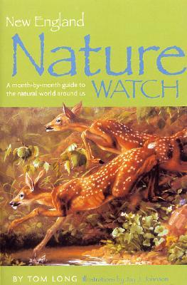 New England Nature Watch: A Month-by-Month Guide to the Natural World Around Us (Hardcover)