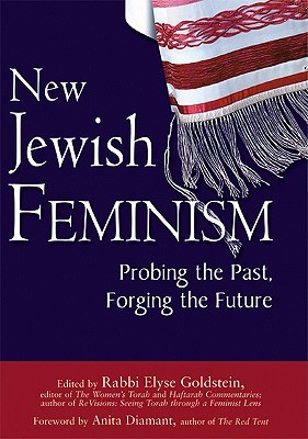 New Jewish Feminism: Probing the Past, Forging the Future (Hardcover)