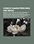 Comics Characters Who Use Magic: Magica de Spell, Skeletor, the Mask, Mandrake the Magician, Tarot: Witch of the Black Rose, Thoth-Amon