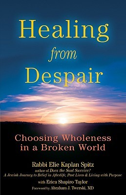 Healing from Despair: Choosing Wholeness in a Broken World (Hardcover)