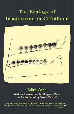 The Ecology of Imagination in Childhood (Paperback)
