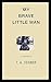 My Brave Little Man by Terry Allen Degner