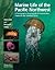 Marine Life of the Pacific Northwest by Andy Lamb