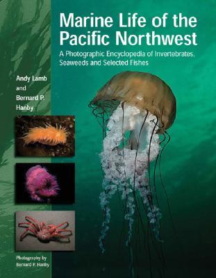 Marine Life of the Pacific Northwest: A Photographic Encyclopedia of Invertebrates, Seaweeds and Selected Fishes (Hardcover)
