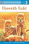 Cheetah Cubs
