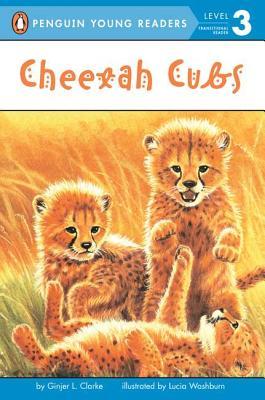 Cheetah Cubs (All Aboard Science Reader: Station Stop 2)
