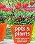 Pots and Plants