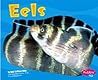 Eels (Pebble Plus)