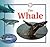 The Whale (Life Cycles)