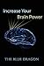 Increase Your Brain Power