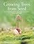 Growing Trees from Seed: A ...