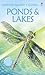 Ponds and Lakes (Usborne Sp...