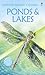Ponds and Lakes (Usborne Spotter's Guide) by Anthony Wootton (2006) Paperback