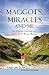 MAGGOTS, MIRACLES and ME by Pam Mitchell
