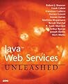 Java Web Services Unleashed