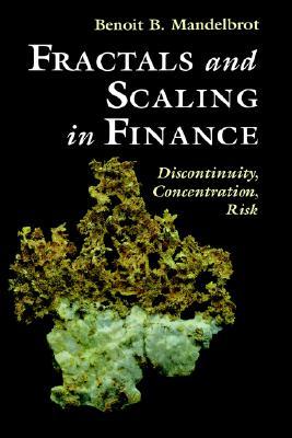 Fractals and Scaling in Finance: Discontinuity, Concentration, Risk. Selecta Volume E (Hardcover)