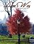 Love's Way: A Central Park ...