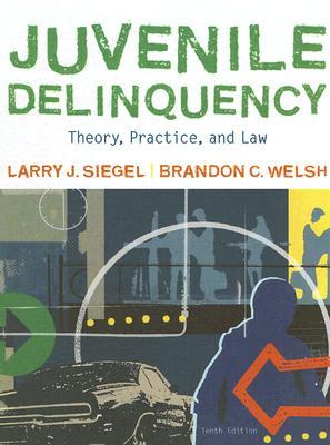 Juvenile Delinquency: Theory, Practice, and Law (Hardcover)