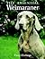 The Essential Weimaraner by Patsy Hollings