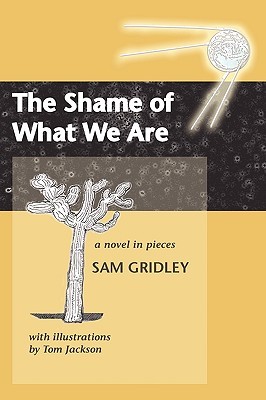 The Shame of What We Are (Paperback)