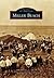 Miller Beach (Images of America: Indiana)