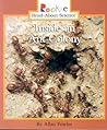 Inside an Ant Colony (Rookie Read-About Science)