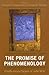 The Promise of Phenomenology: Posthumous Papers of John Wild