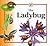 The Ladybug (Life Cycles)