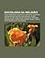 Sociologia Da Religiao: Ritos Funerarios, Teologia Da Libertacao, Inquisicao, Veneracao DOS Mortos, Henri Nouwen, Helder Camara
