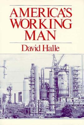 America's Working Man: Work, Home, and Politics Among Blue Collar Property Owners (Paperback)