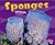 Sponges (Pebble Plus)