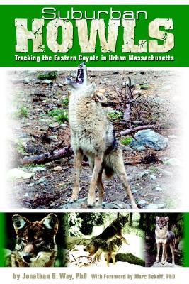 Suburban Howls: Tracking the Eastern Coyote in Urban Massachusetts (Paperback)
