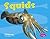Squids