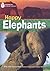 Happy Elephants: Footprint ...