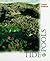 Tide Pools (First Book)