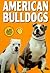 American Bulldogs