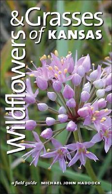 Wildflowers and Grasses of Kansas: A Field Guide (Paperback)