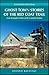 Ghost Town Stories of the Red Coat Trail: From Renegade to Ruin on the Canadian Prairies (Amazing Stories)