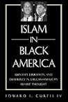 Islam in Black America: Identity, Liberation, and Difference in African-American Islamic Thought