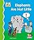 Elephants Are Not Little (First Words)