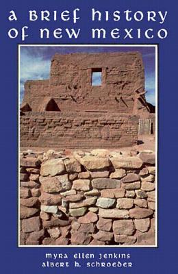 A Brief History of New Mexico (Paperback)