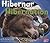 Hibernar/ Hibernation (Pebb...
