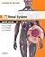 The Renal System by Michael J. Field AM  MD  FRACP